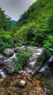 大盘山 景点图 467_13