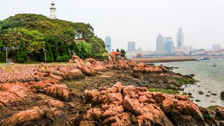 小青岛 景点图 47_7