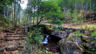 九华乡周公山村 景点图 476_2