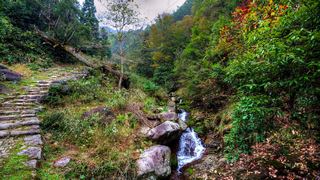 九华乡周公山村 景点图 476_5
