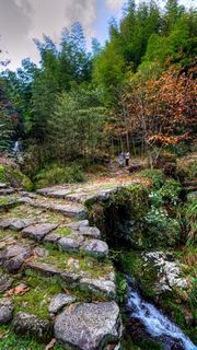 九华乡周公山村 景点图 476_9