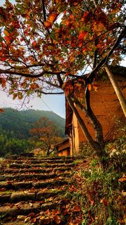 九华乡周公山村 景点图 476_16