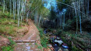 九华山 景点图 477_11