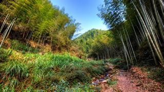 九华山 景点图 477_20