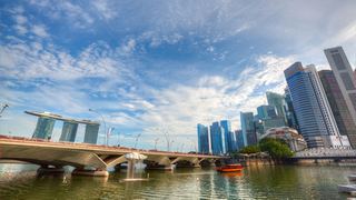 新加坡鱼尾狮、空中花园 景点图 499_3