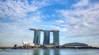 新加坡鱼尾狮、空中花园 景点图 499_4
