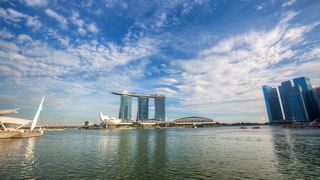 新加坡鱼尾狮、空中花园 景点图 499_6