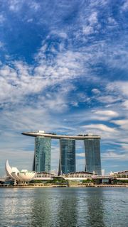 新加坡鱼尾狮、空中花园 景点图 499_9