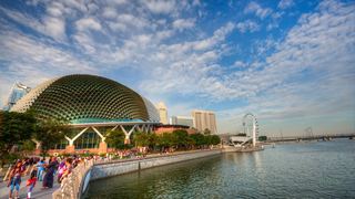 新加坡鱼尾狮、空中花园 景点图 499_11