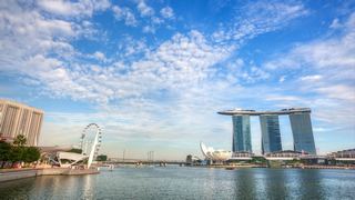 新加坡鱼尾狮、空中花园 景点图 499_12