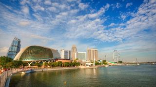 新加坡鱼尾狮、空中花园 景点图 499_14