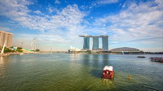 新加坡鱼尾狮、空中花园 景点图 499_15