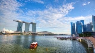 新加坡鱼尾狮、空中花园 景点图 499_16