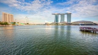 新加坡鱼尾狮、空中花园 景点图 499_18