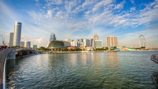 新加坡鱼尾狮、空中花园 景点图 499_19