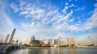 新加坡鱼尾狮、空中花园 景点图 499_20