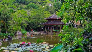 亚龙湾热带天堂森林公园 景点图 5_2
