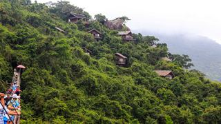 亚龙湾热带天堂森林公园 景点图 5_7
