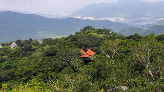 亚龙湾热带天堂森林公园 景点图 5_11