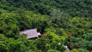 亚龙湾热带天堂森林公园 景点图 5_13