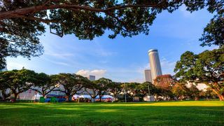 新加坡城市公园景观 景点图 503_3