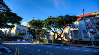 新加坡城市公园景观 景点图 503_5