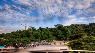 新加坡城市公园景观 景点图 503_11