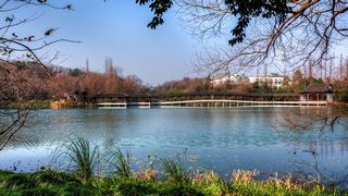 浴鹄湾景区：羡鸽亭、霁虹桥 景点图 505_10