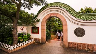 青岛鲁迅公园 景点图 51_2