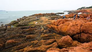 青岛鲁迅公园 景点图 51_4