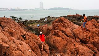 青岛鲁迅公园 景点图 51_5