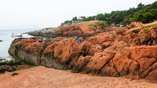 青岛鲁迅公园 景点图 51_6