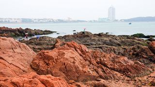 青岛鲁迅公园 景点图 51_8
