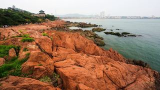 青岛鲁迅公园 景点图 51_9