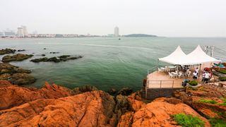 青岛鲁迅公园 景点图 51_11