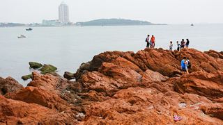 青岛鲁迅公园 景点图 51_12