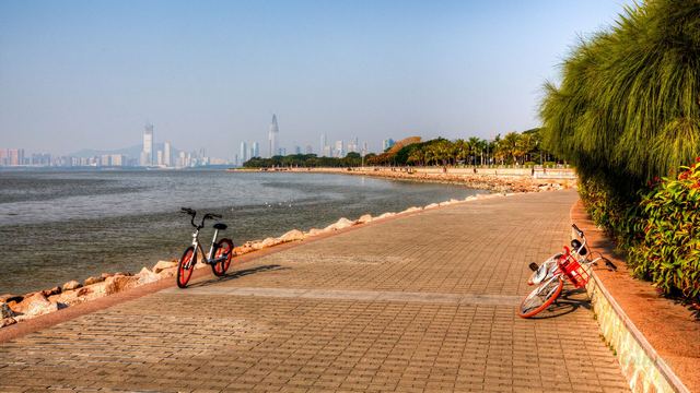 深圳湾公园
