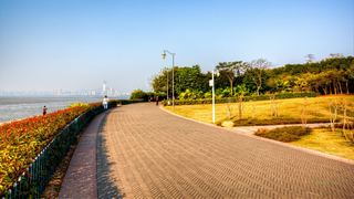 深圳湾公园 景点图 512_4