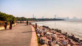 深圳湾公园 景点图 512_5