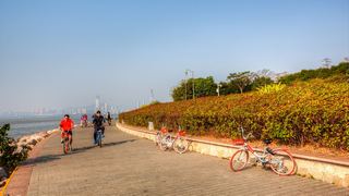 深圳湾公园 景点图 512_6