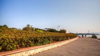 深圳湾公园 景点图 512_7