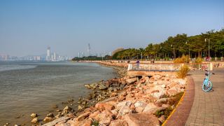 深圳湾公园 景点图 512_9