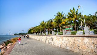 深圳湾公园 景点图 512_12