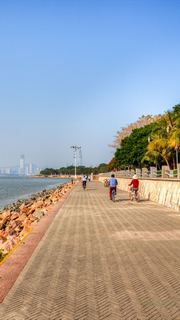 深圳湾公园 景点图 512_13