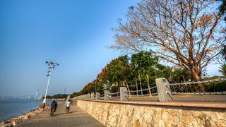 深圳湾公园 景点图 512_14