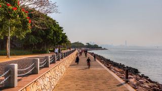 深圳湾公园 景点图 512_15