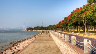 深圳湾公园 景点图 512_16