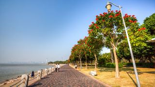 深圳湾公园 景点图 512_17