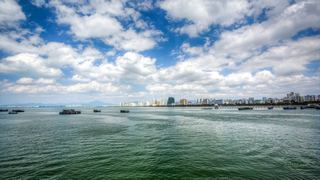 三亚湾度假区 景点图 517_7
