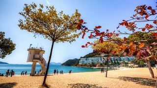 浅水湾 景点图 519_5